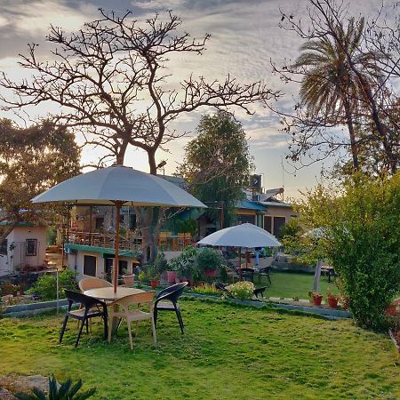 Forest Eco Lodge Mount Abu Exterior foto