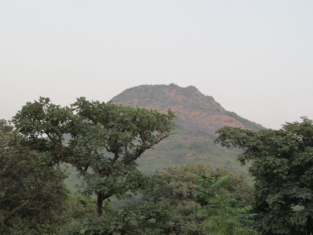 Forest Eco Lodge Mount Abu Exterior foto