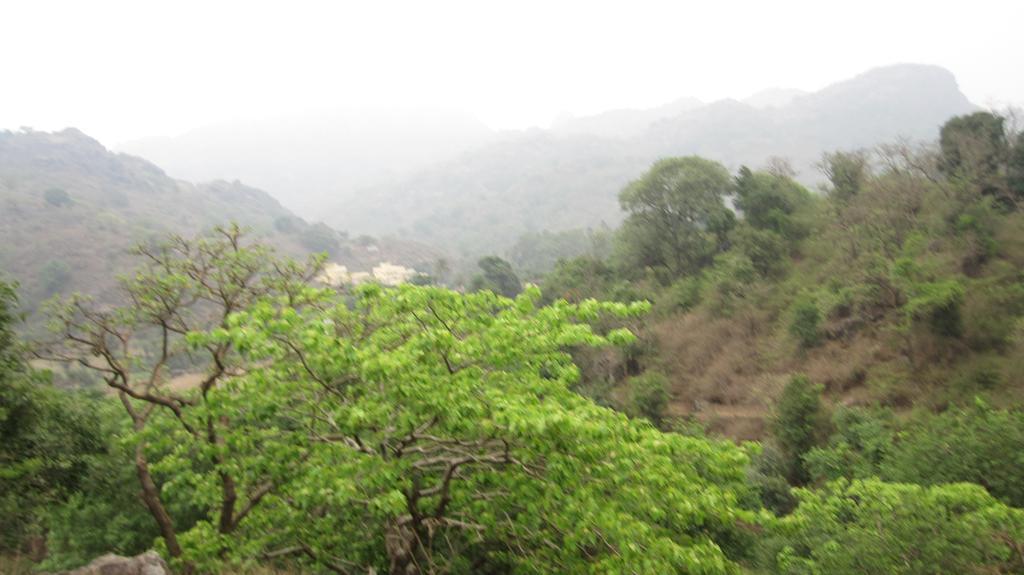 Forest Eco Lodge Mount Abu Exterior foto